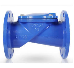 橡胶辩法兰止回阀